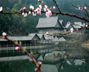 浠水天气预报40天