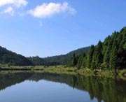 凤阳天气预报15天