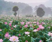 广昌明天天气