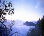 峨边天气预报40天