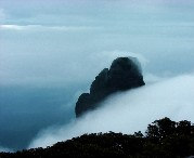 金秀天气预报40天